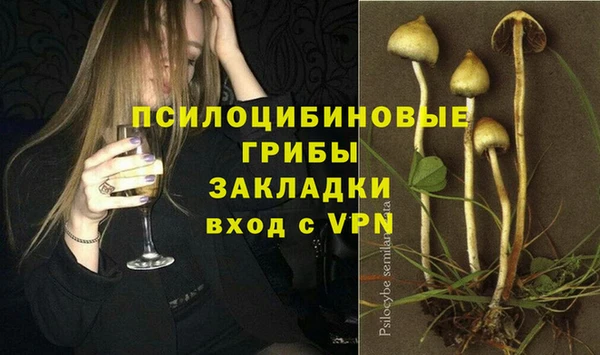 героин Абаза