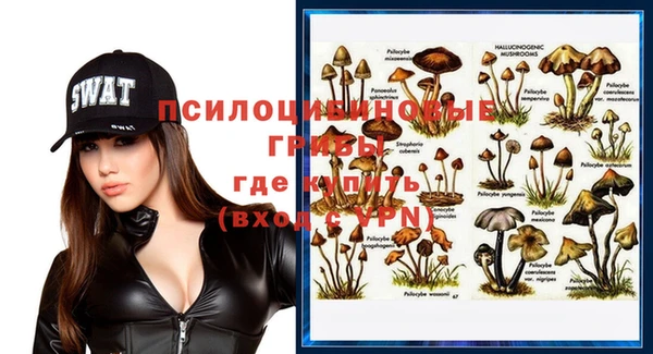 apvp Абдулино