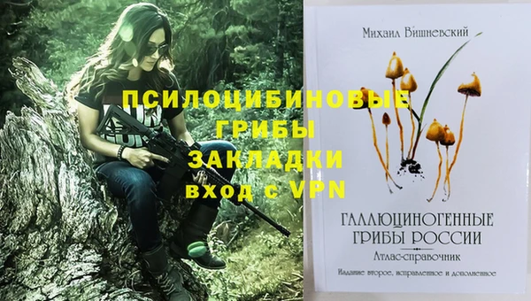 героин Абаза