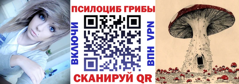 купить наркотик  Иркутск  Псилоцибиновые грибы Cubensis 